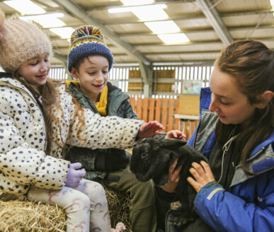 Essex Events at Barleylands Farm Park, The Village and Showground